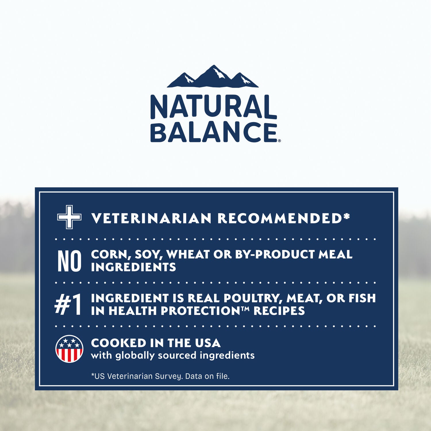 Natural Balance Health Protection Small Breed Dry Dog Food, Chicken, Brown Rice & Pumpkin Recipe, 4-Lbs.