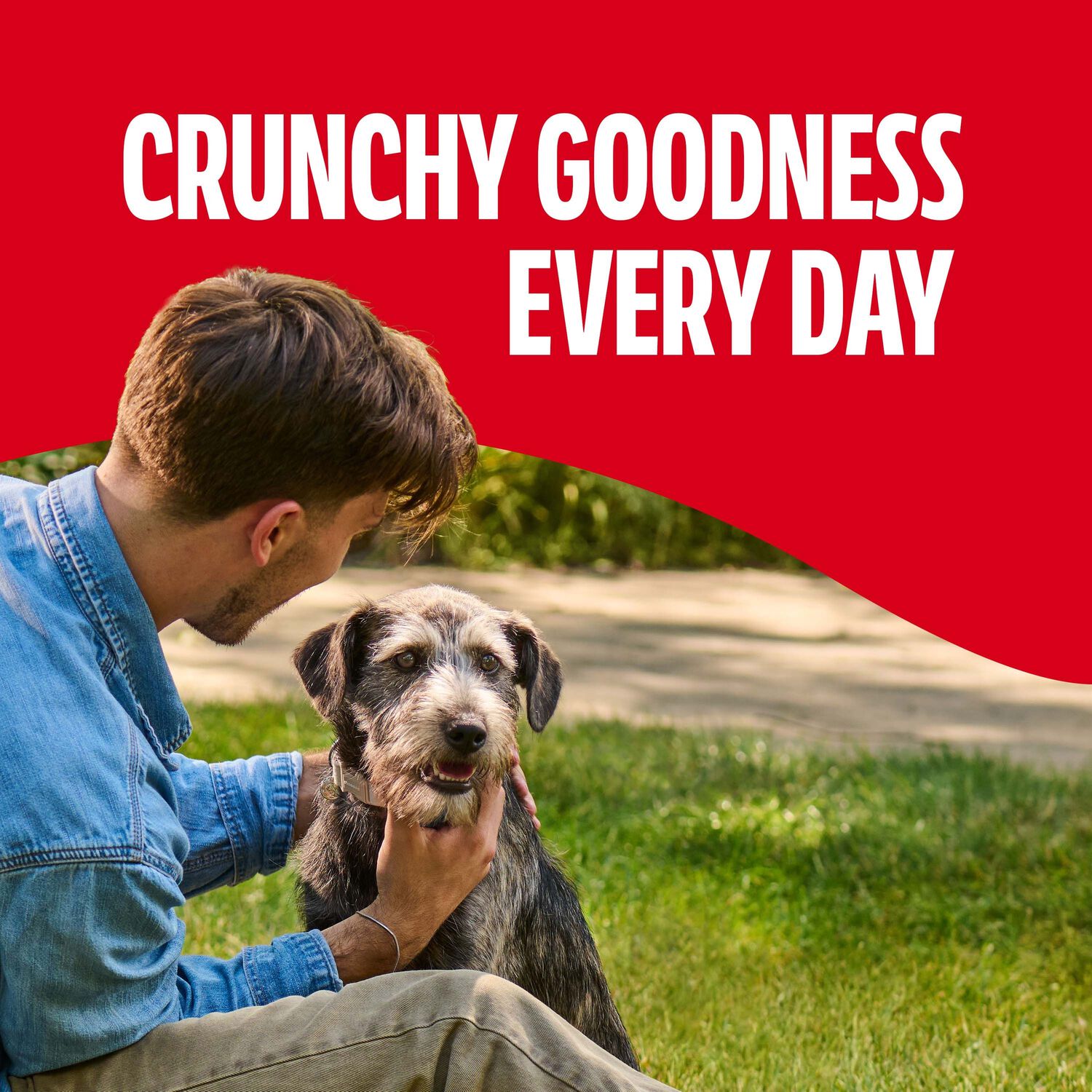 Milk-Bone Original Biscuits Crunchy Medium Dog Treats, 10-Lb Box