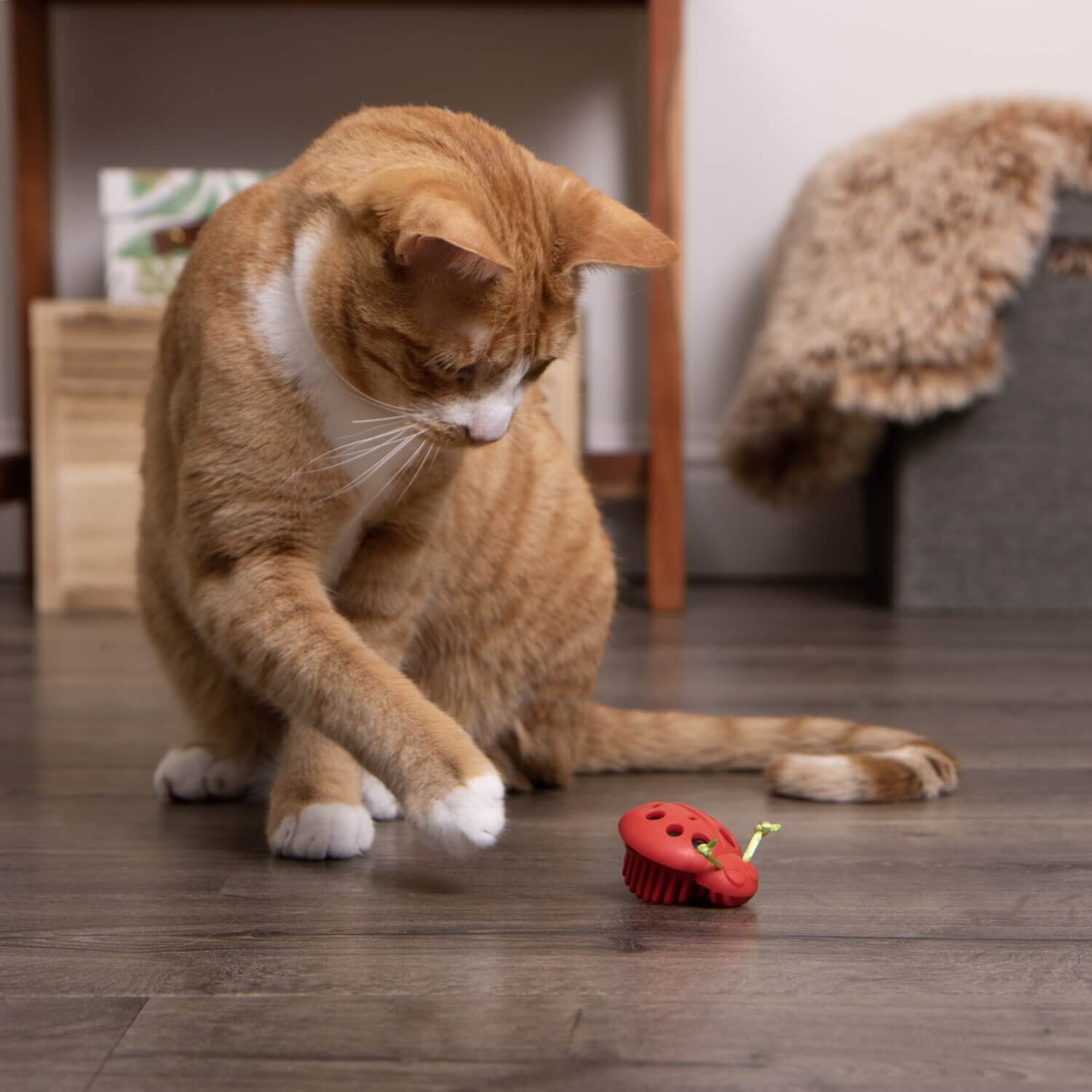 Instincts By Smartykat&reg; Rowdy Rumbler Ladybug Electronic Motion Cat Toy, Battery Powered