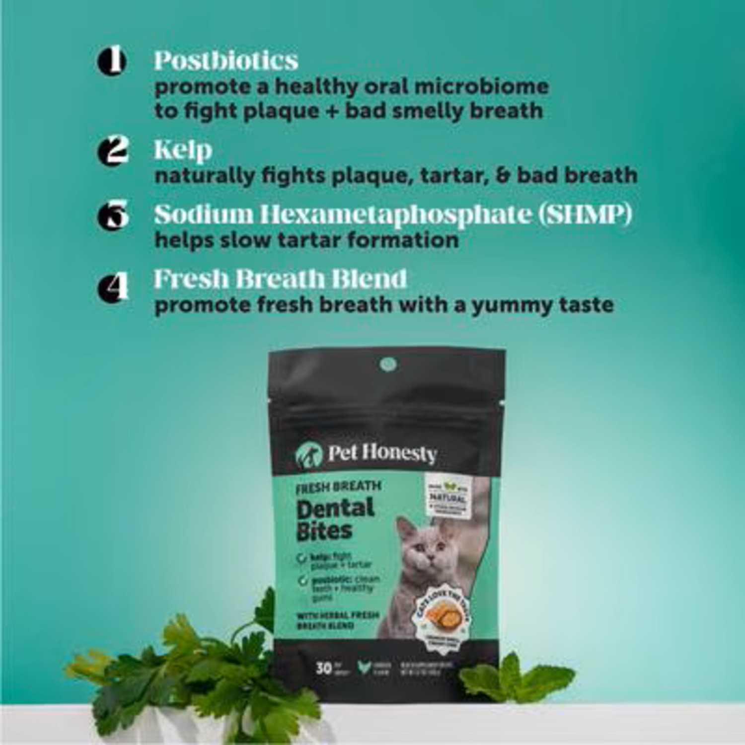 Pet Honesty Fresh Breath Chicken Flavor Dental Bites Crunchy Cat Supplements, 3.7-Oz Pouch