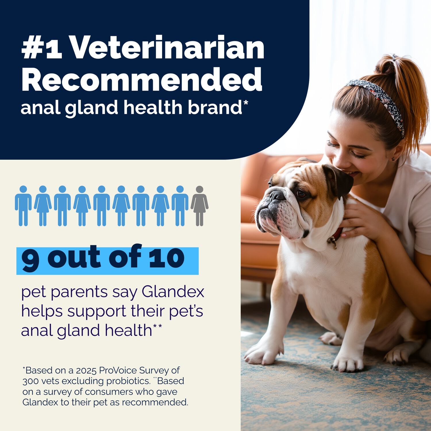 Vetnique Glandex Rear End Wipes For Dogs & Cats, Anal Gland Hygiene | Deodorizing Dog & Cat Wipes For Paws & Butt, Boot The Scoot With Deoplex Enzyme, Aloe & Vitamin E, Alcohol Free, 75-Ct