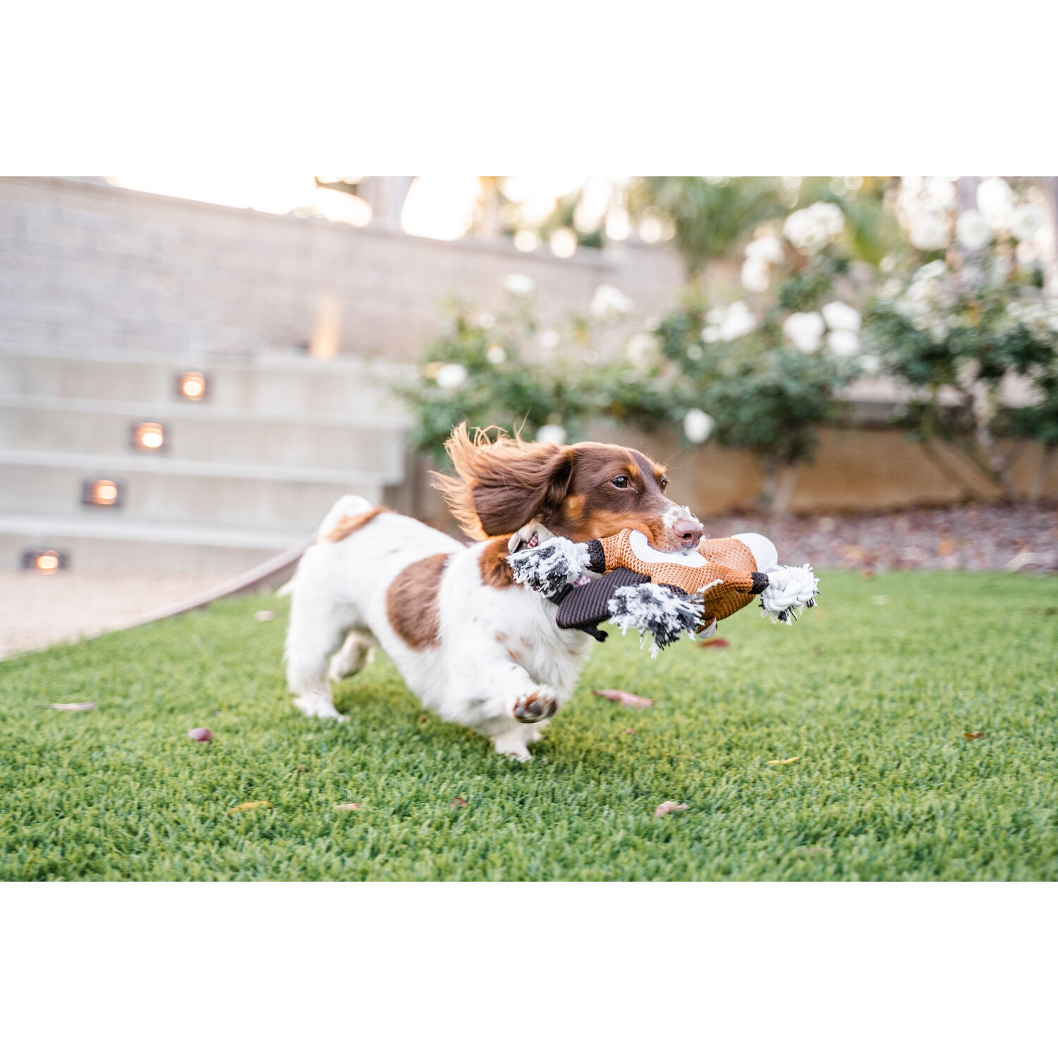 Territory Horse 2-In-1 Fetch & Tug Dog Toy, 10"