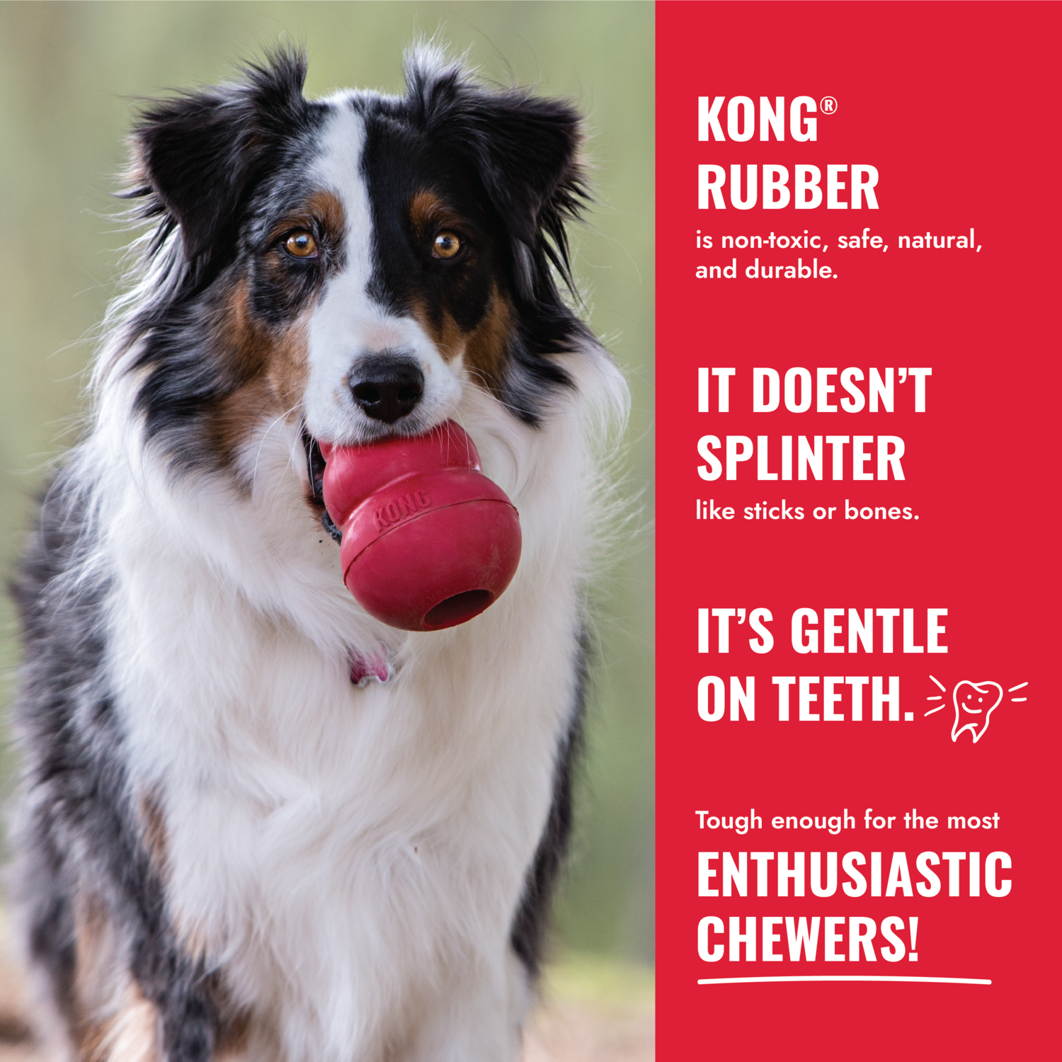 Kong Classic Tough & Durable Rubber Dog Chew Toy, Gold, Large