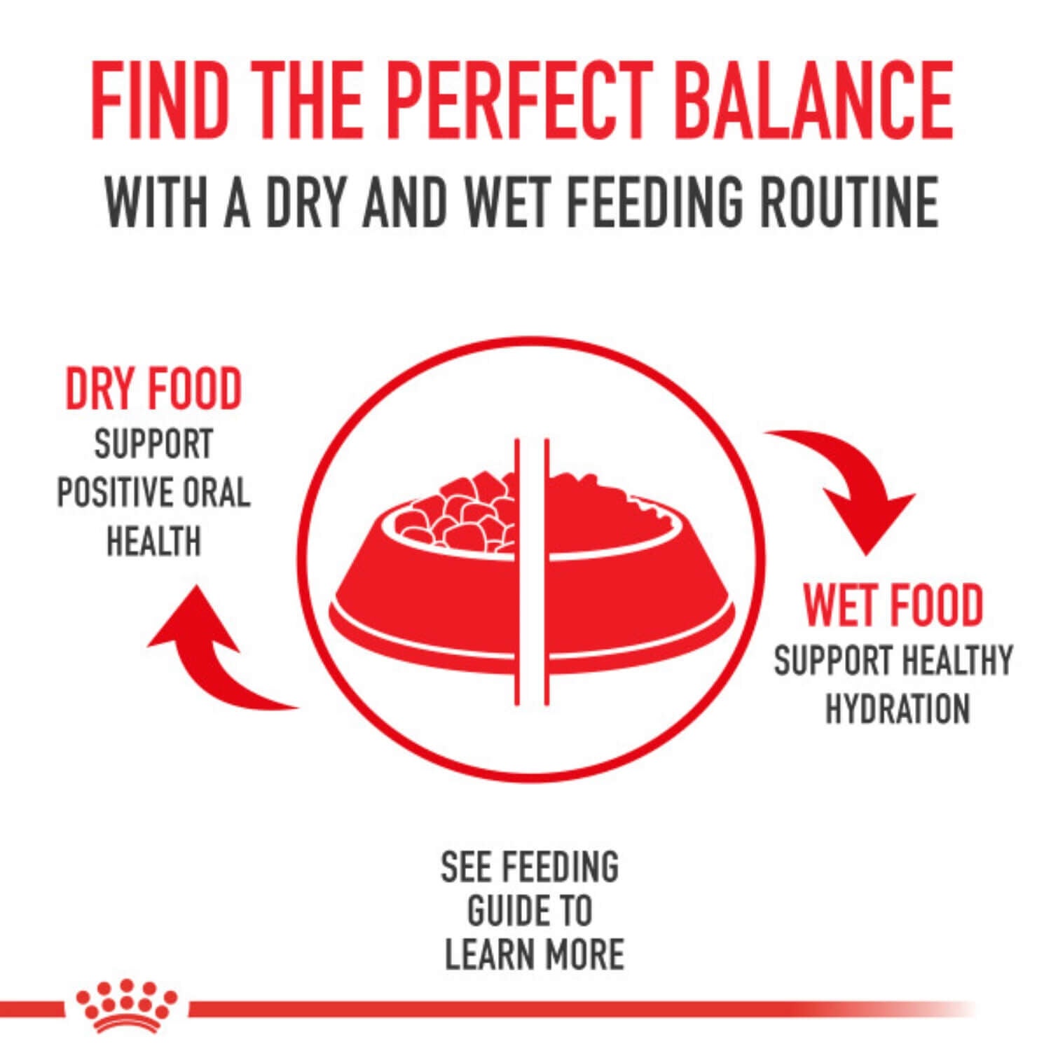 Royal Canin Sensitive Digestion Dry Cat Food