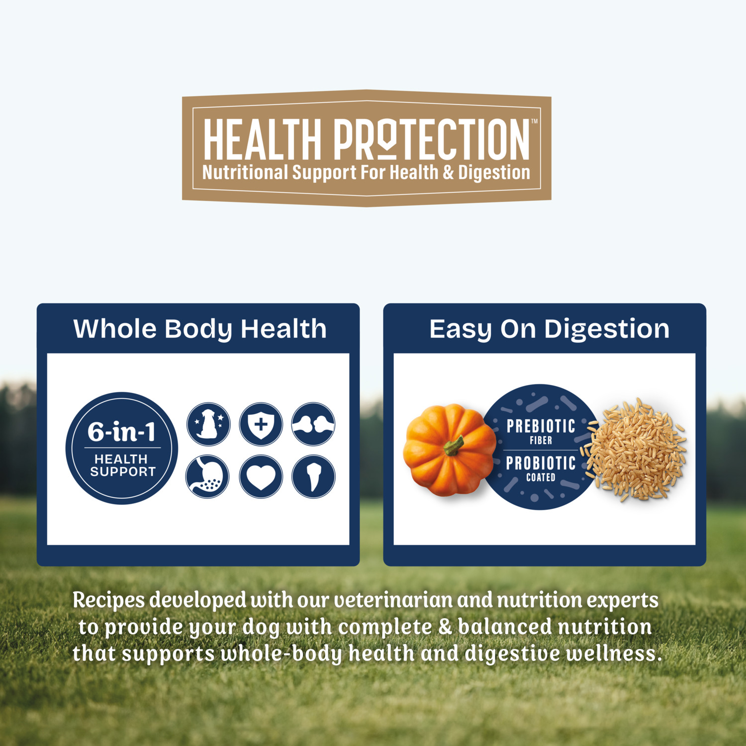 Natural Balance Health Protection Large Breed Dry Dog Food, Salmon & Rice Recipe, 26-Lbs.