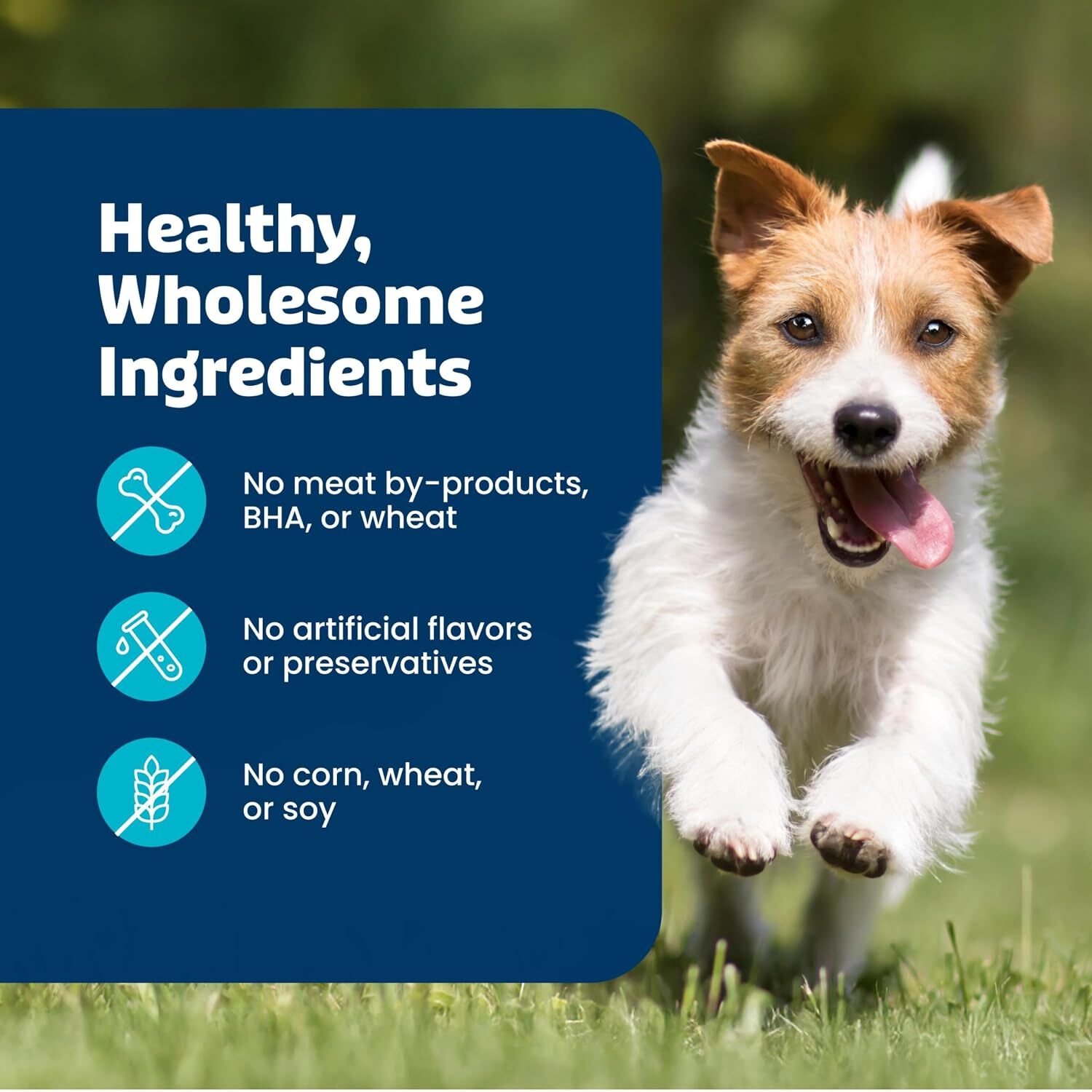 Blue Buffalo Health Bars Baked With Banana & Yogurt Dog Treats, 16-Oz