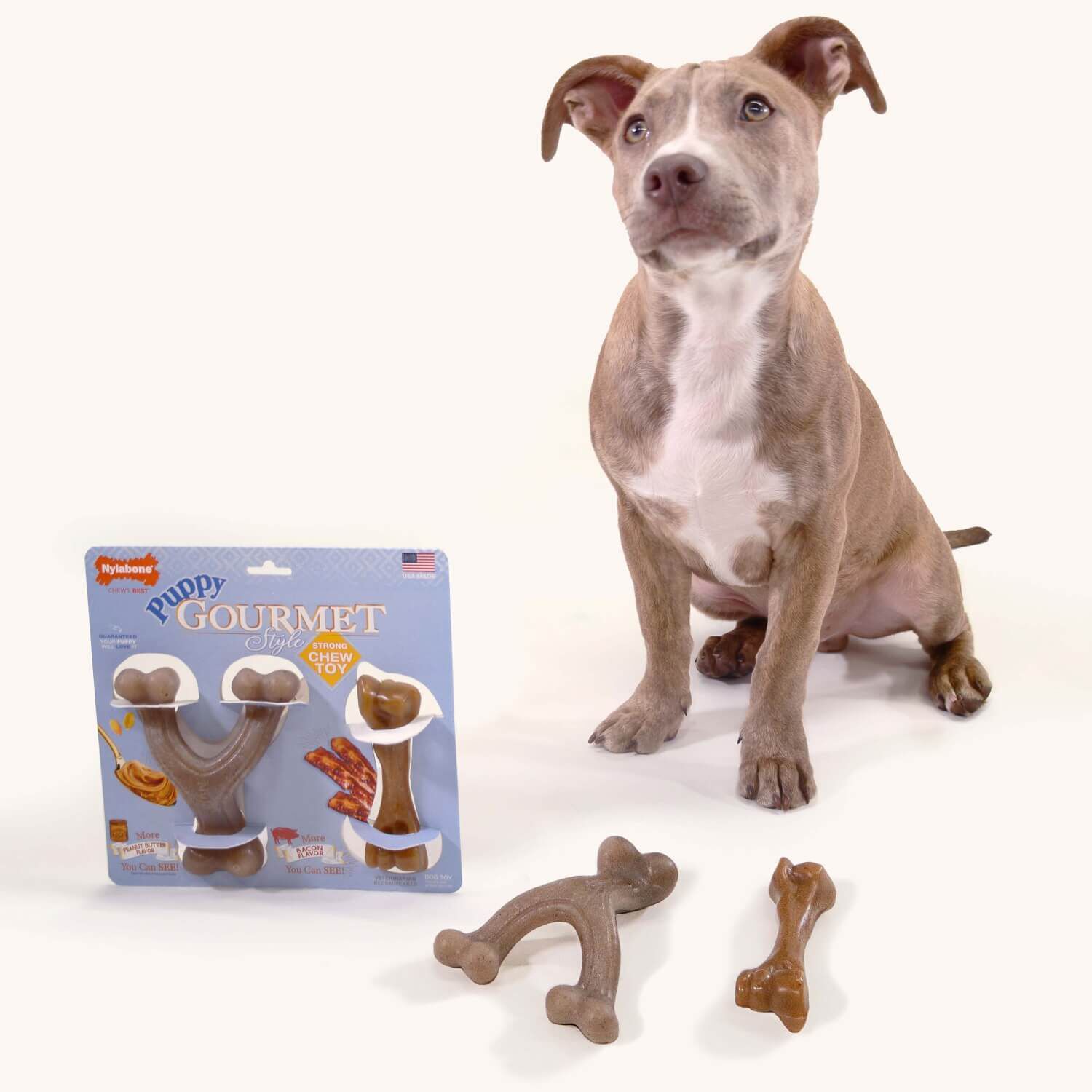 Nylabone Puppy Gourmet Style Strong Dog Chew Toy - Bacon, Peanut Butter Flavor