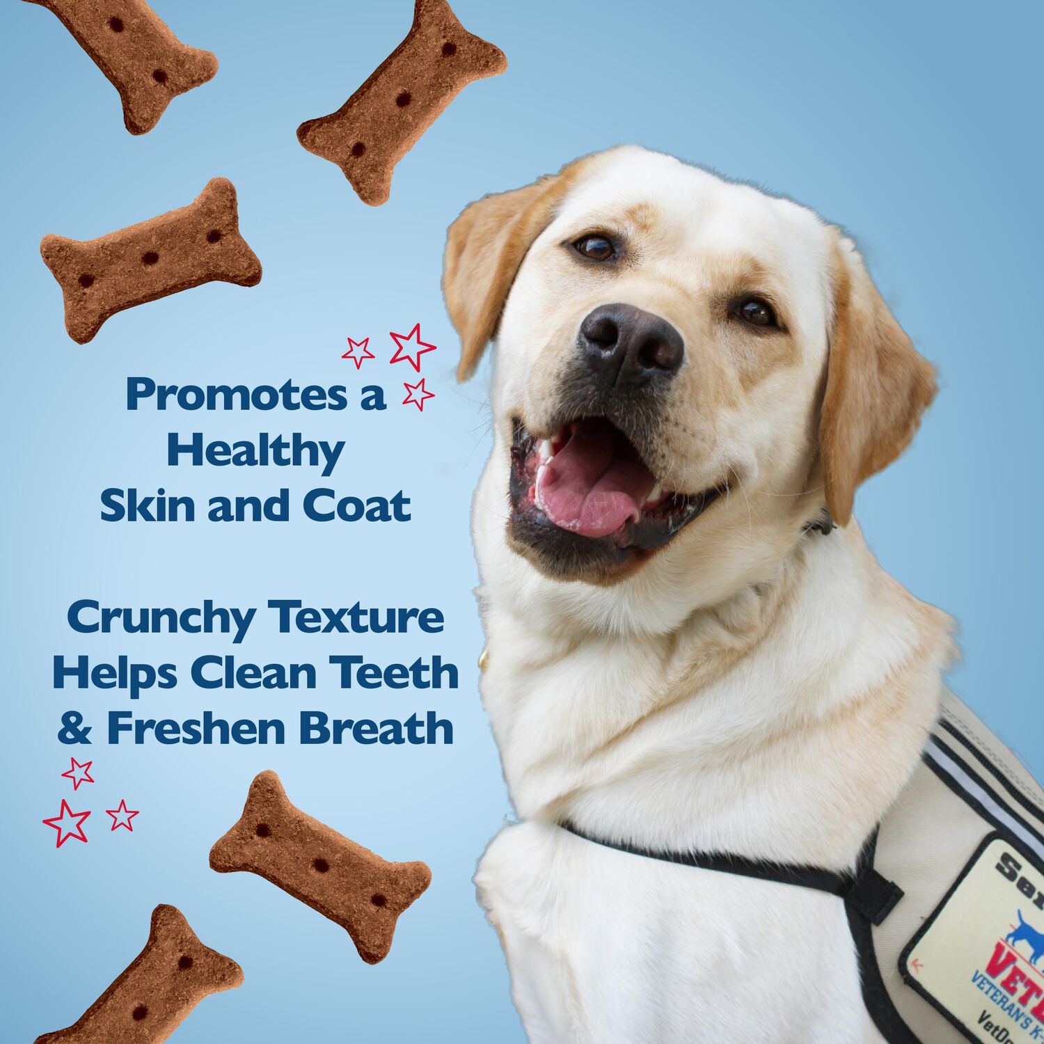 Bil-Jac America's Vetdogs Skin & Coat Formula Chicken Crunchy Biscuit Dog Treats, 16-Oz Bag