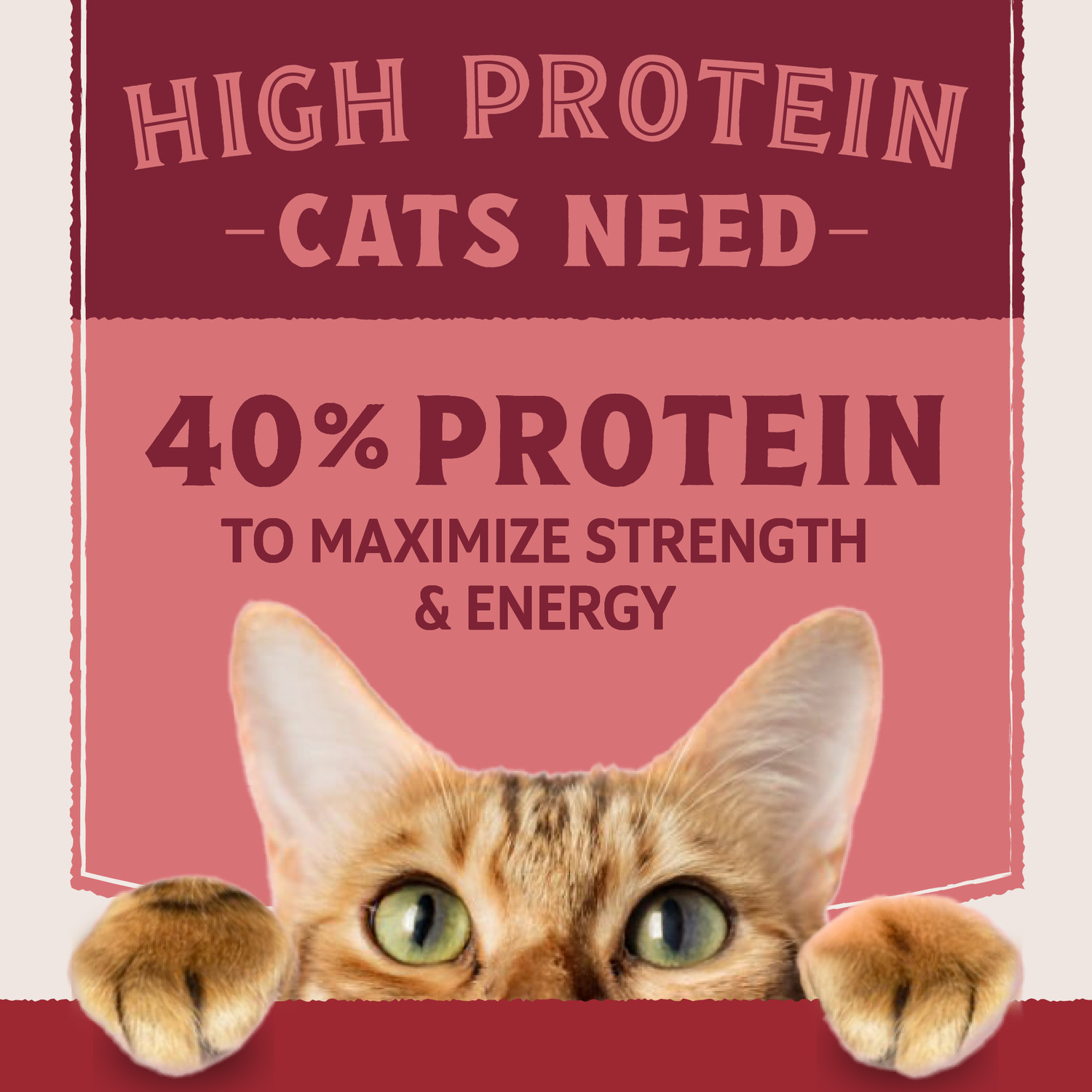 Natural Balance Ultra Protein Dry Cat Food, Real Salmon & Chicken Meal Recipe, 3-Lbs