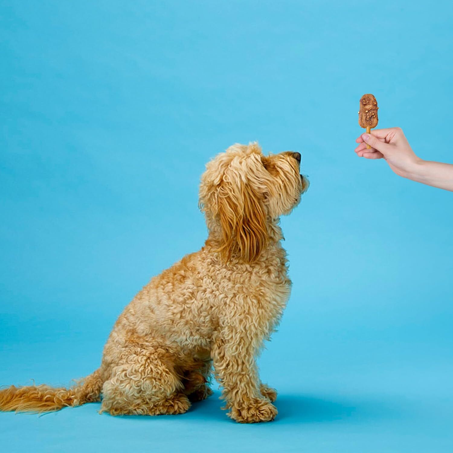 Pup Ice Choccy Lollies Ready To Freeze Dog Chew Treat, Peanut Butter And Chocolate, 2 Pack