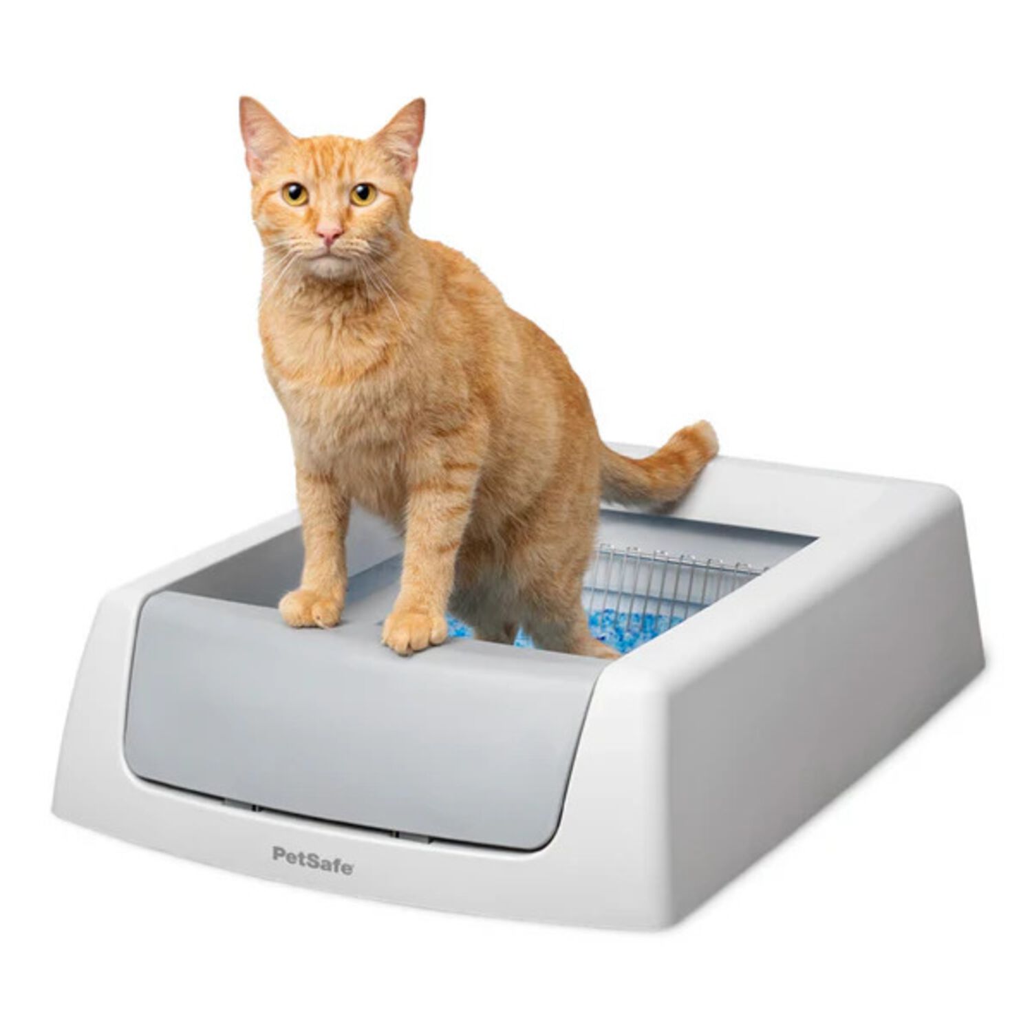 Petsafe Scoopfree Crystal Classic Self-Cleaning Cat Litter Box, Gray