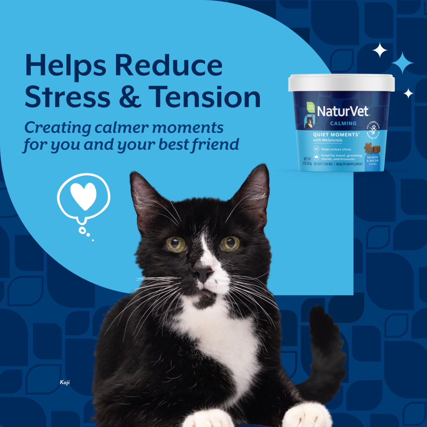 Naturvet Quiet Moments Calming Aid Cat Soft Chews With Melatonin