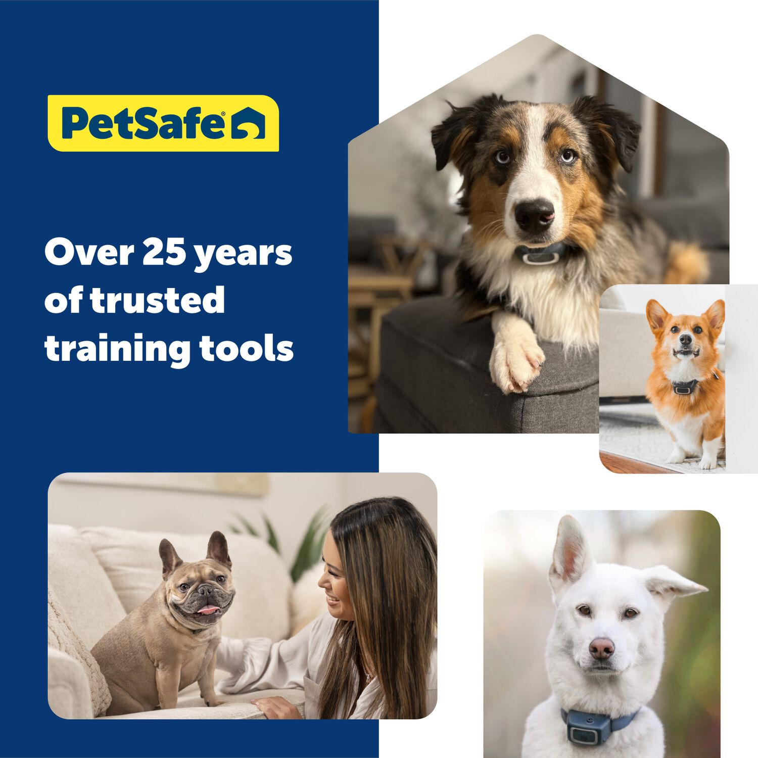 Petsafe Basic Bark Control Training Collar For Dogs, 8+ Lbs