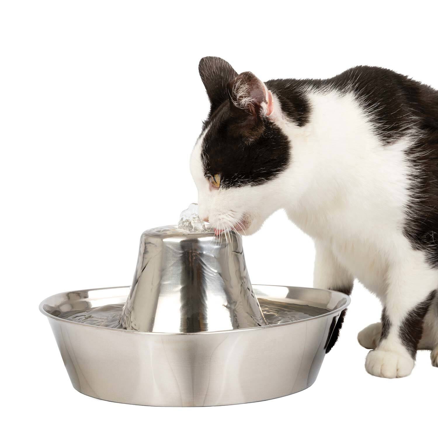 Petsafe Seaside Stainless Pet Fountain, 60-Oz Capacity