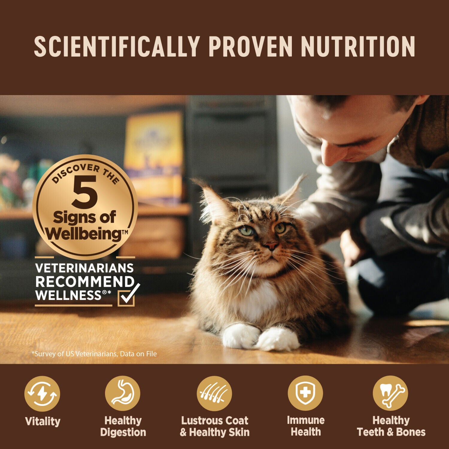 Wellness Core Tiny Tasters Pate Adult Wet Cat Food, Natural, Protein-Rich, Grain Free, 1.75-Ounce Pouch, 12 Pack, Land Variety Pack