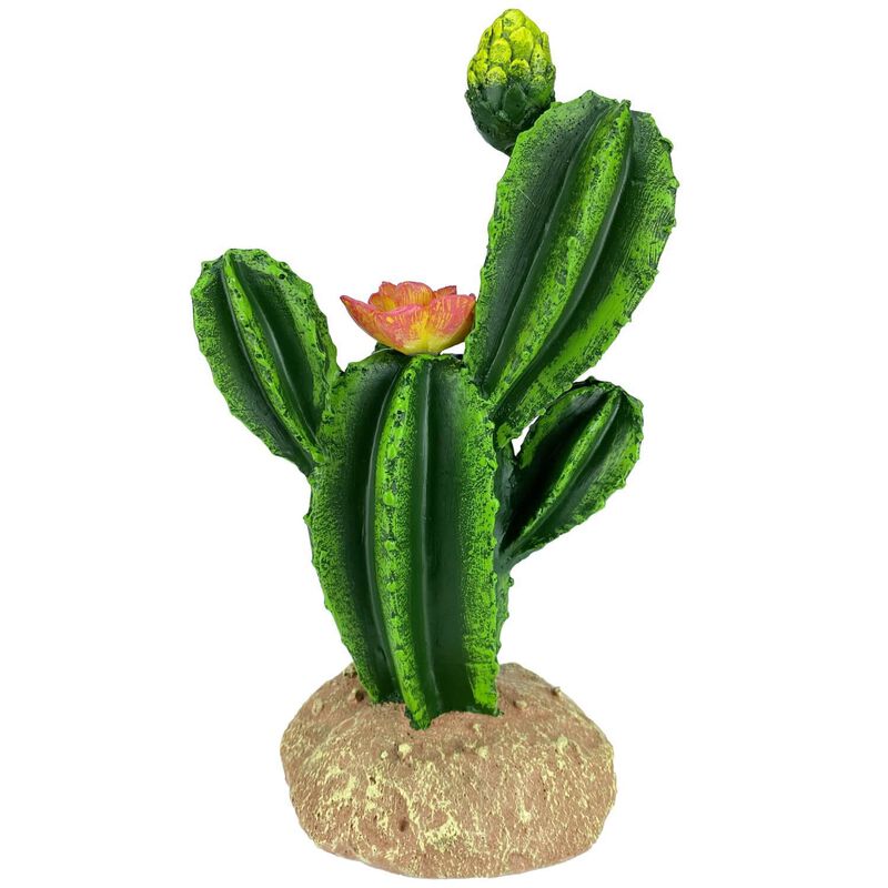 Flower Cactus For Reptile Enclosures image number 2