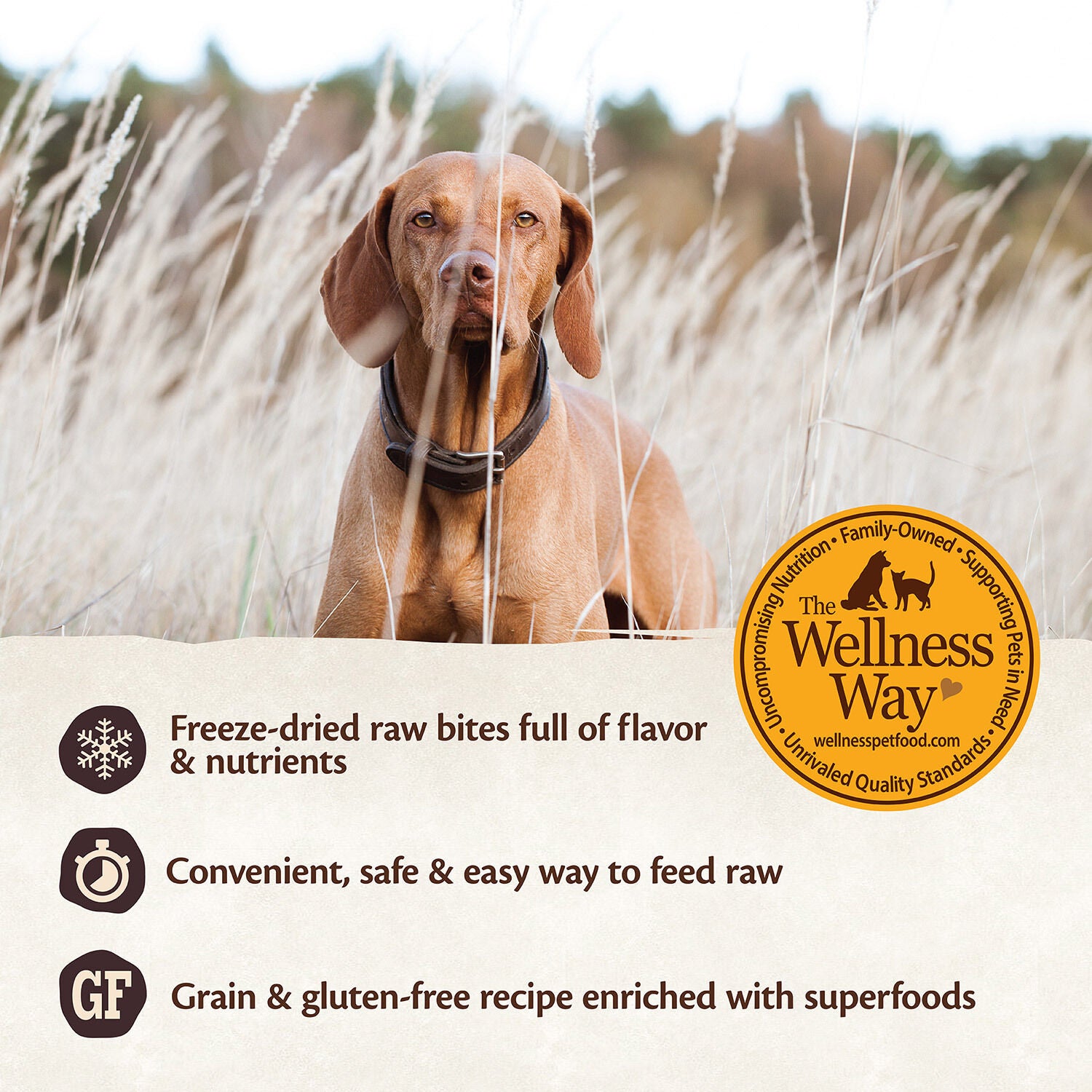 Wellness core rawrev wild game cheap