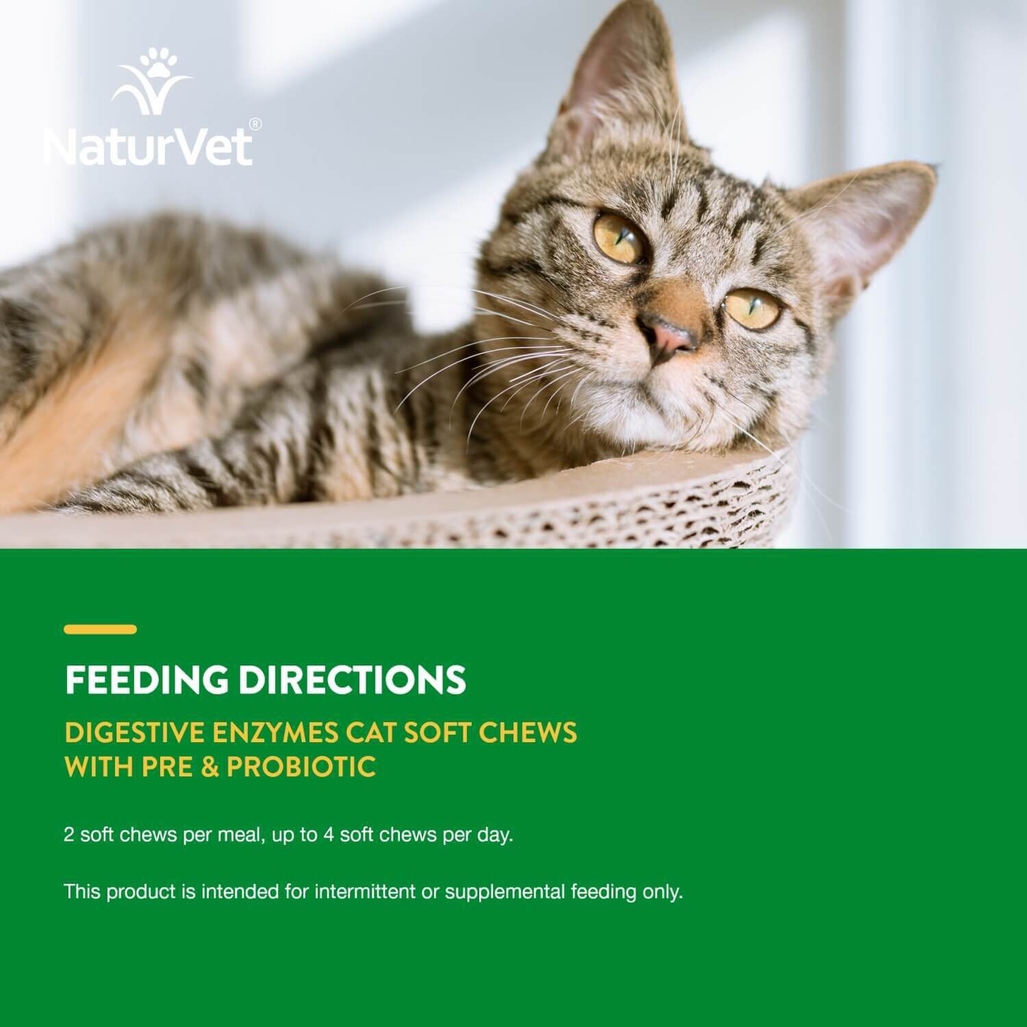 Naturvet Digestive Enzymes Pre+Probiotic Daily Soft Chew Supplement For Cats
