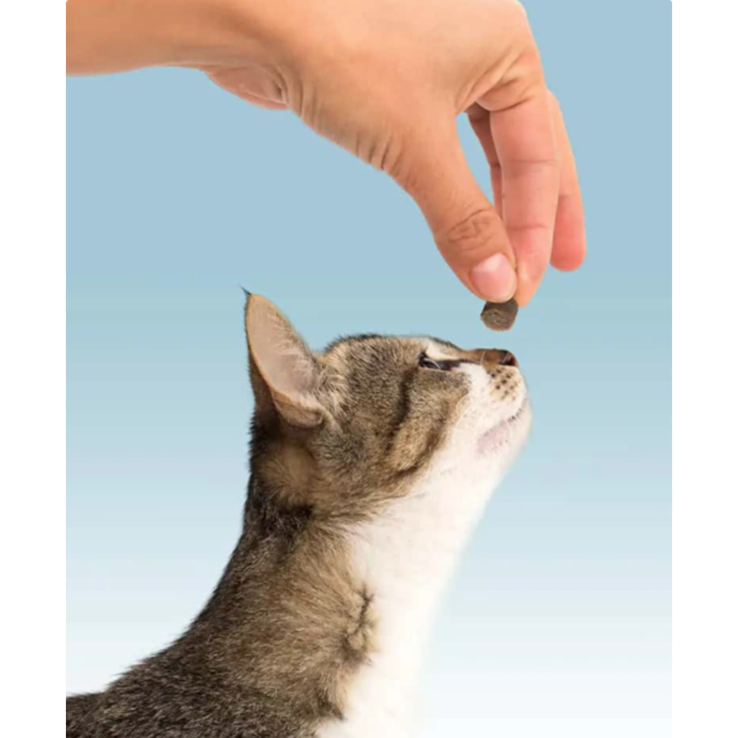 Pet Greens Cat Craves All Natural Soft Chew Cat Treats, Chicken Flavor