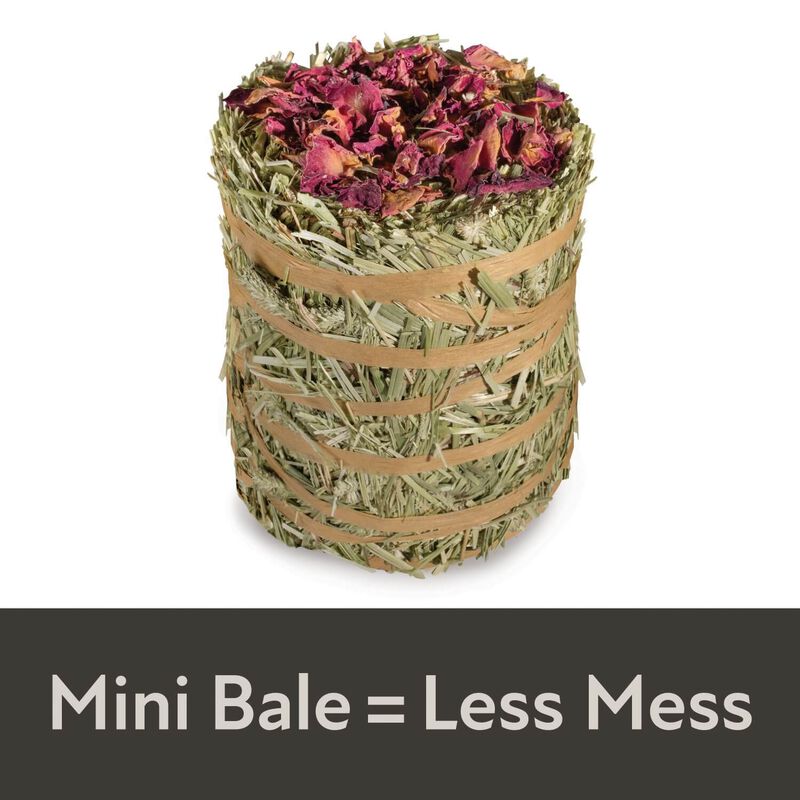 Field+Forest By Kaytee Mini Hay Bales, Rose