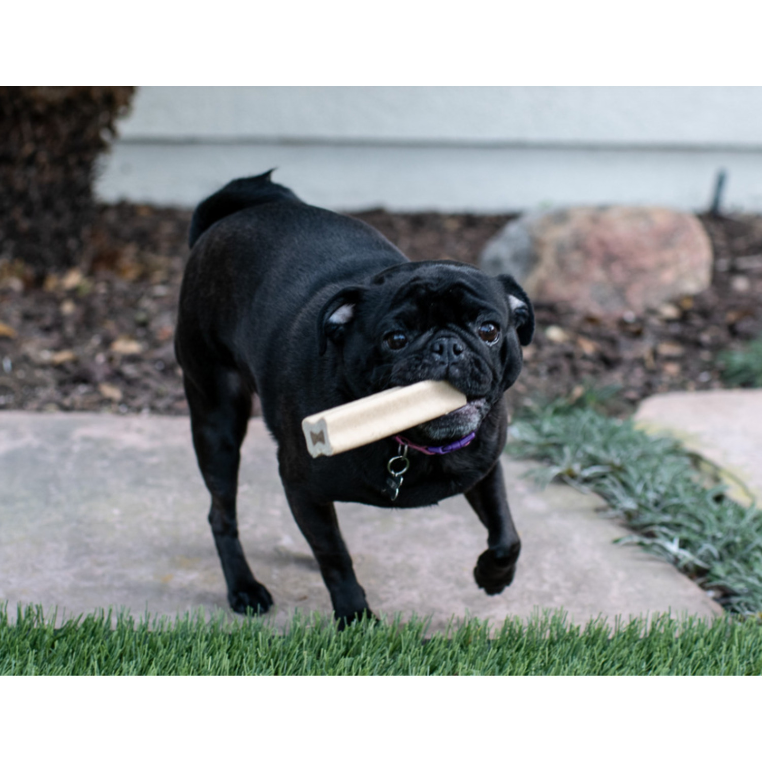 Loving Pets Yummy Bone Flavor Filled Dog Treat, Bacon, 2.8Oz