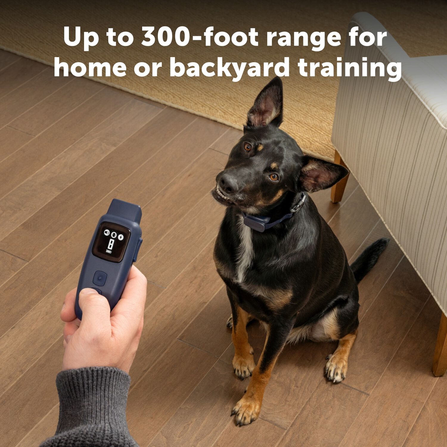 Petsafe Basic Dog Trainer With Remote &ndash; Waterproof Training Dog Collar, 300 Ft Range