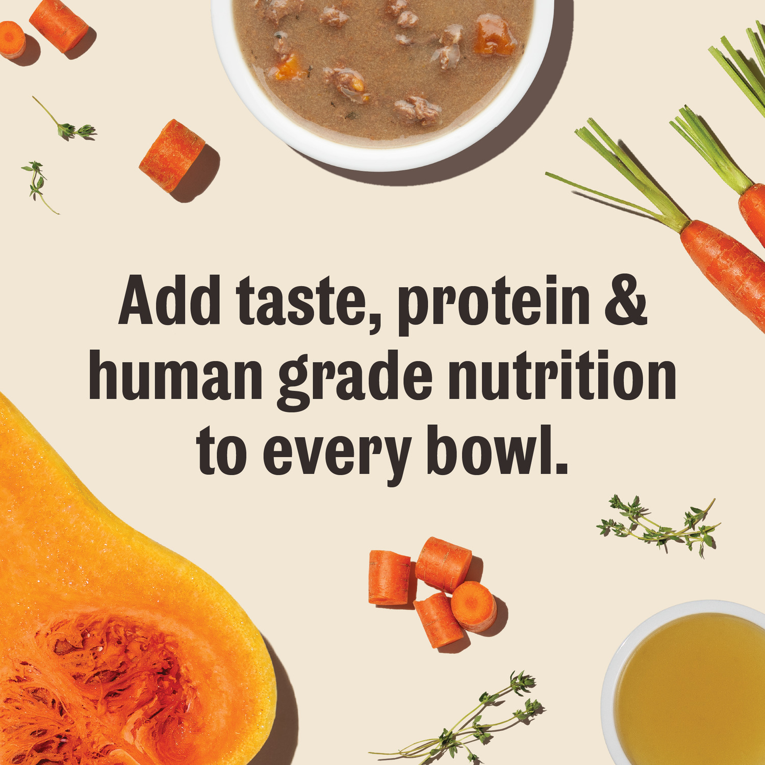 The Honest Kitchen Grain-Free Bone Broth Pour Overs Beef Stew Dog Food Topper, 5.5-Oz