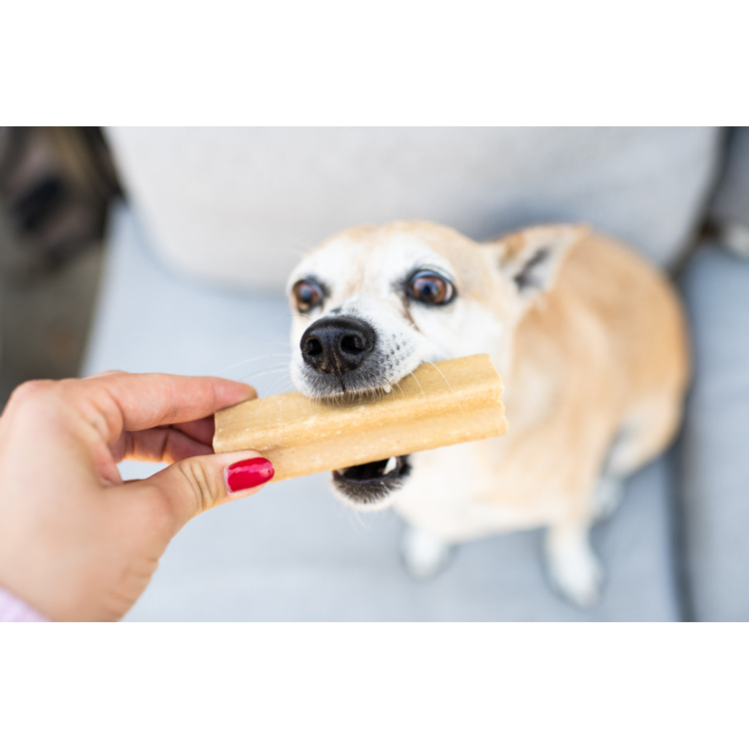 Loving Pets Yummy Bone Flavor Filled Dog Treat, Bacon, 2.8Oz