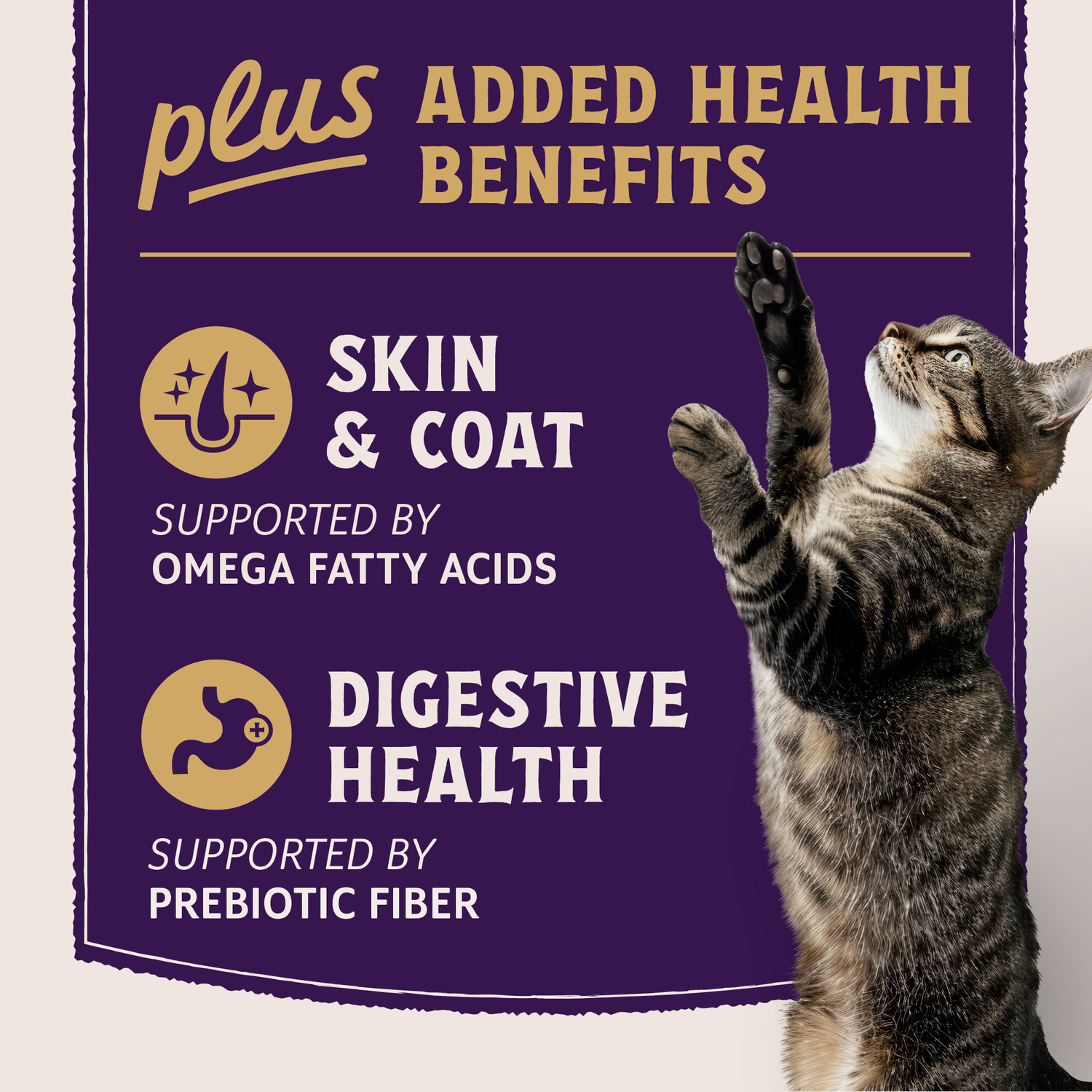 Natural Balance Ultra Protein Plus Wet Cat Food, Skin & Coat And Digestive Health Real Salmon With Pumpkin Recipe Puree Topper, 2.4-Oz-Pack Of 24