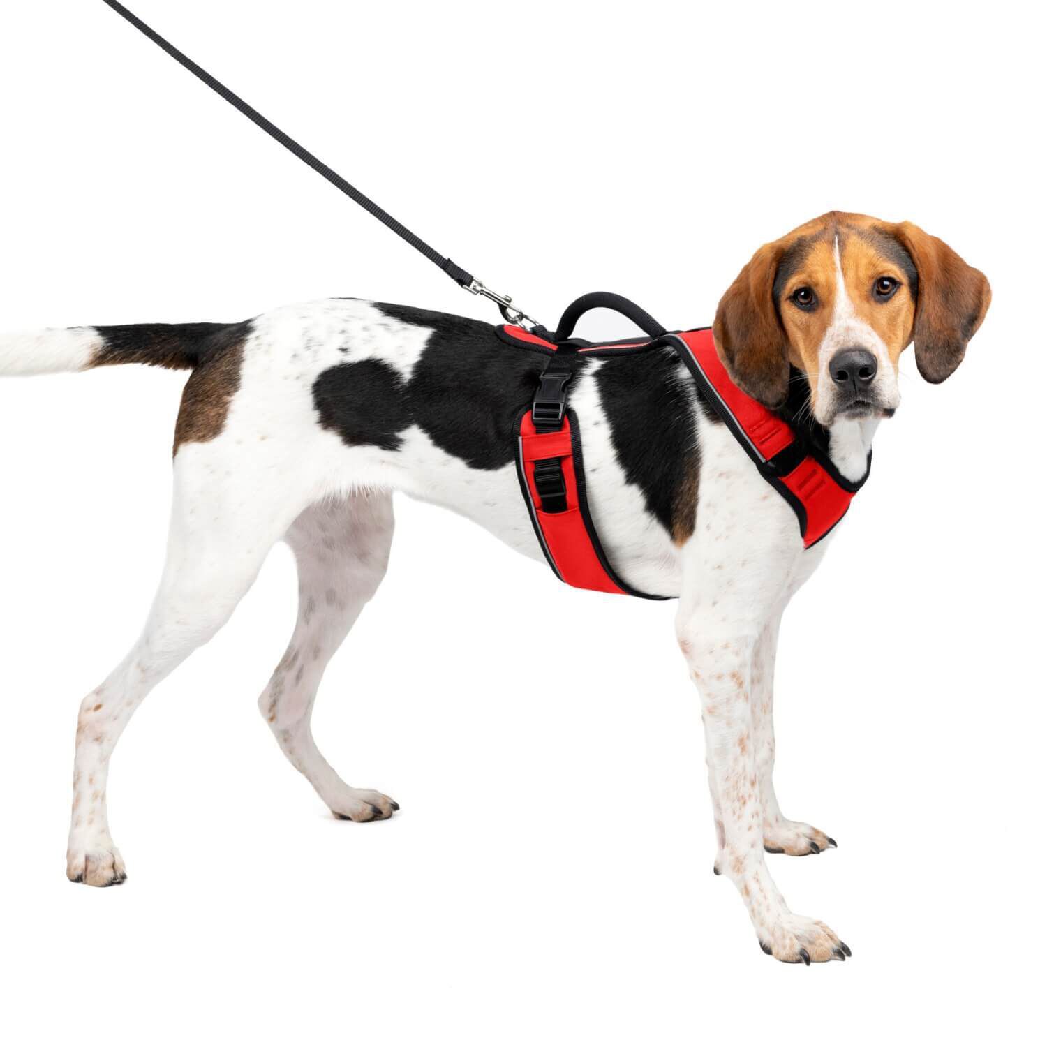 Petsafe Easy Sport Dog Harness, Red