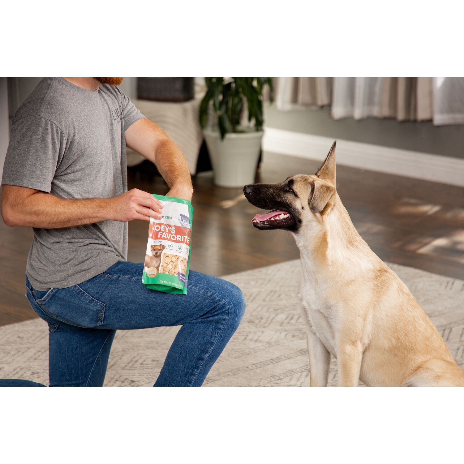 Dr. Marty Joey's Favorite Freeze-Dried Raw Salmon Dog Treats, 4-Oz Bag