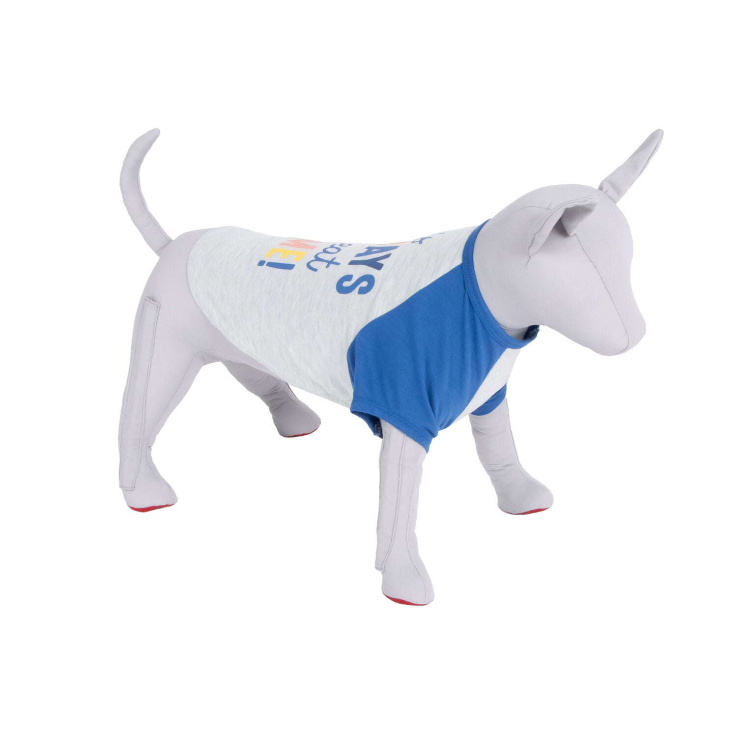 Bailey & Bella Blue It's Always Treat Time Dog T-Shirt, Extra Large