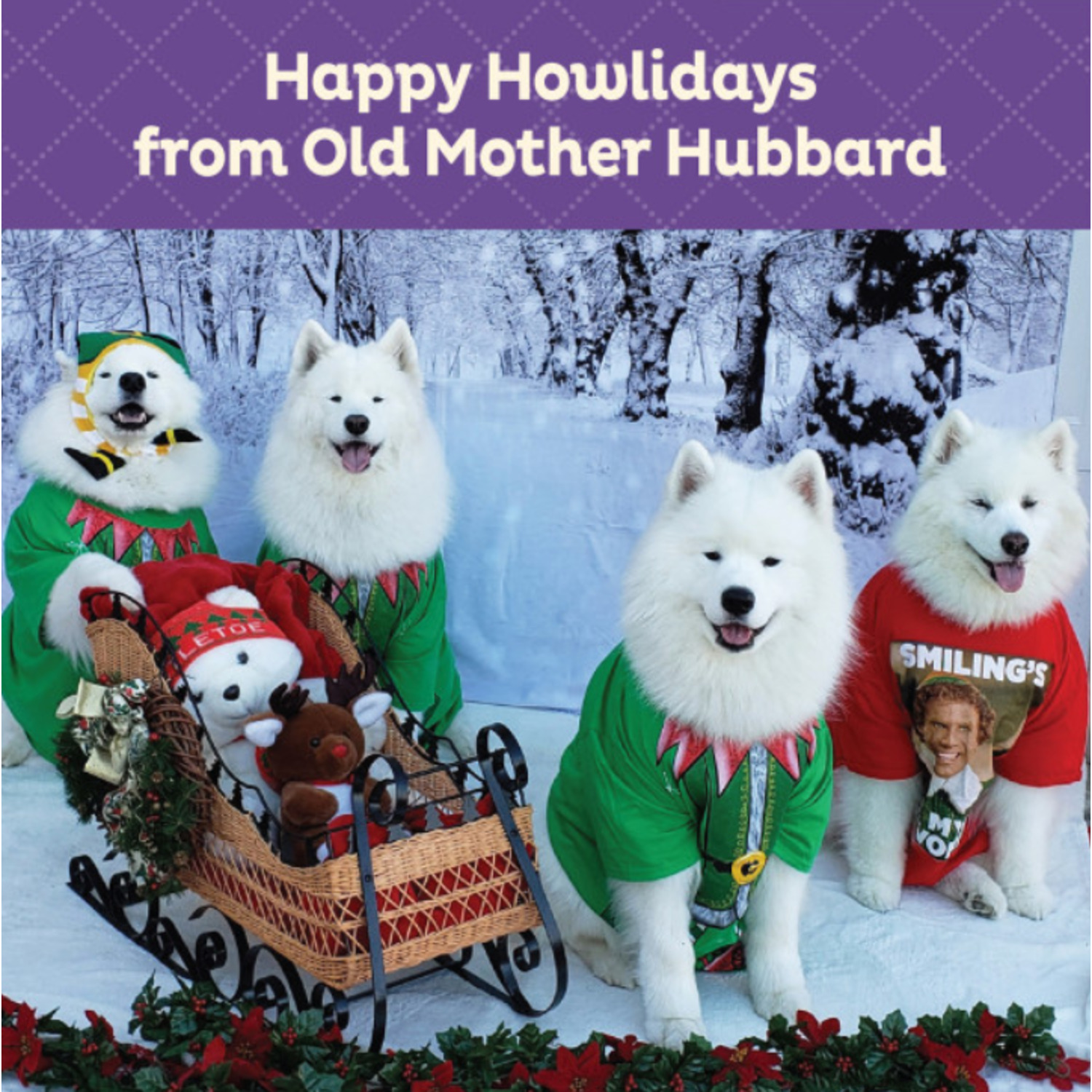 Wellness Old Mother Hubbard Winter Fun P-Nuttier Dog Biscuits, Natural, Seasonal, Holiday Dog Treats, Peanut Butter Flavor, 16 Ounce Bag