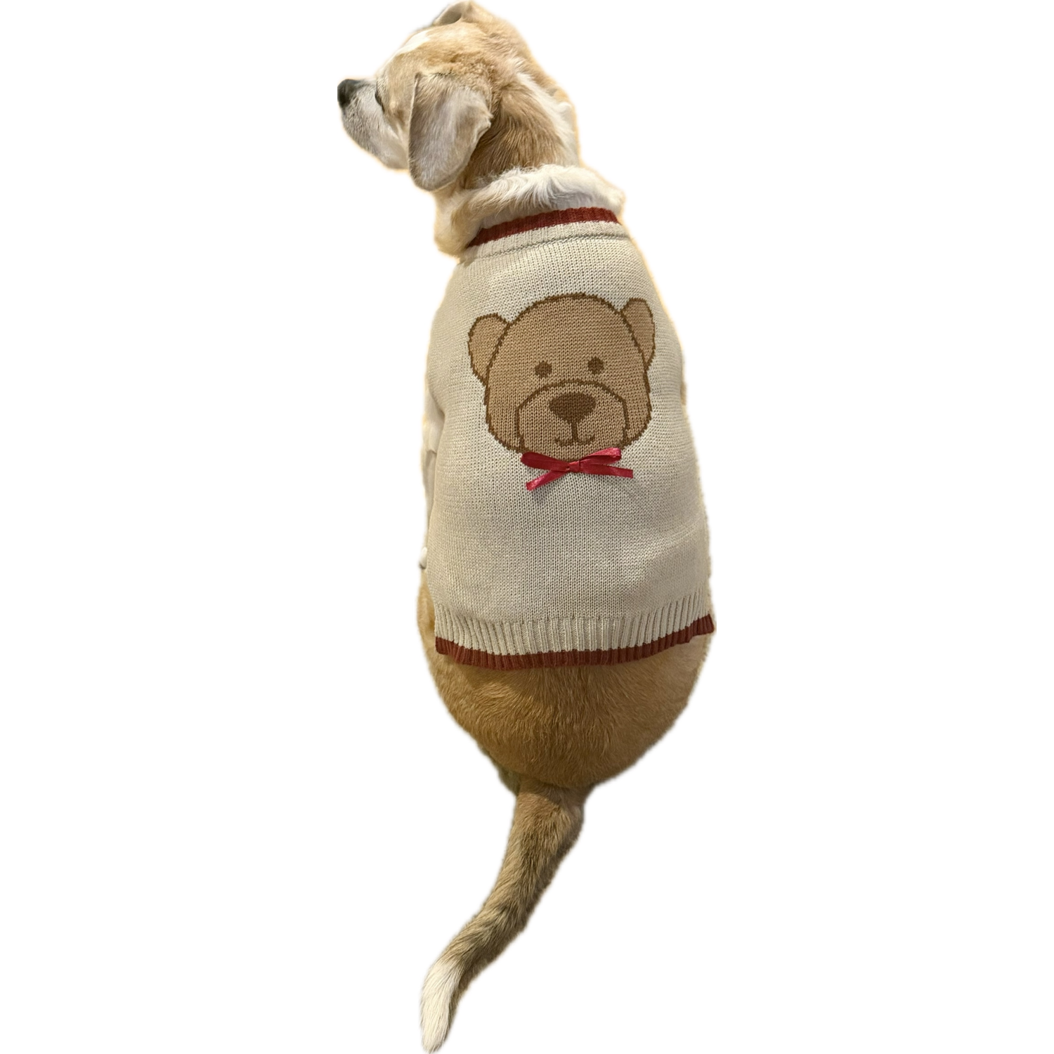Aristopet Tan Teddy Bear Dog Sweater