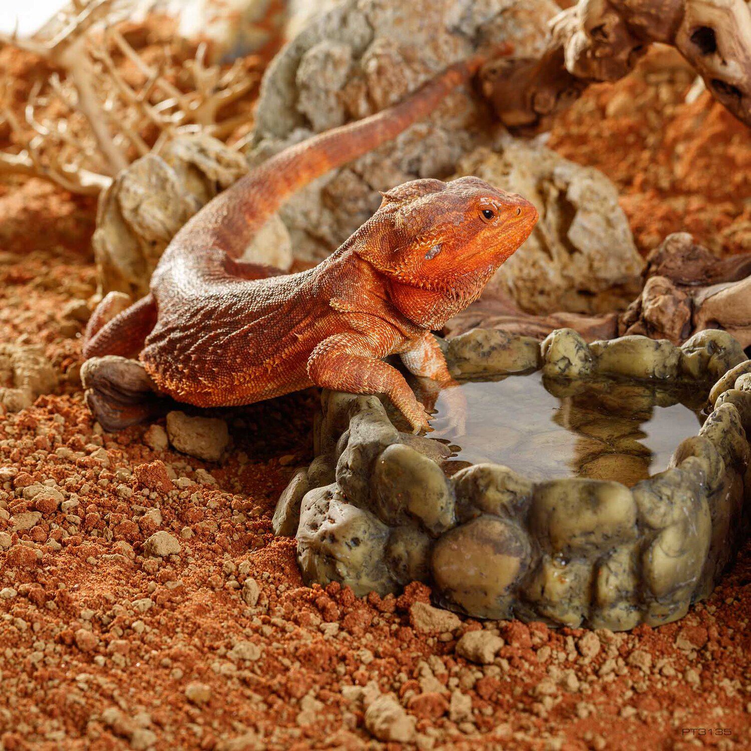 Exo Terra Stone Desert Substrate For Reptiles, Outback Red, 11-Lb Bag