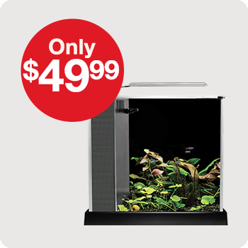 Only $49.99 Fluval Spec Desktop Kit 2.6 Gal.
