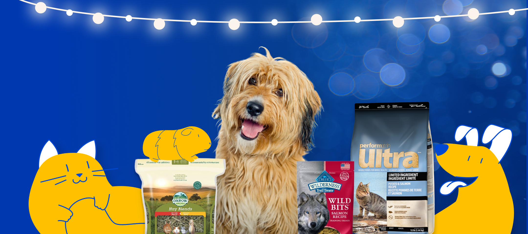 Cyber monday cheap dog food