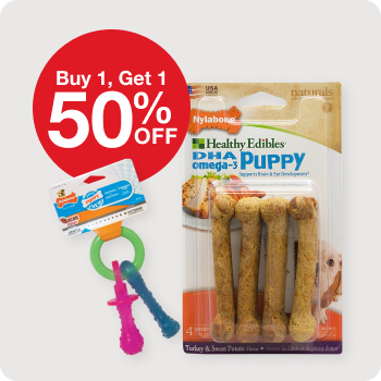 Buy 1 Get 1 50% off Nylabone Durable Chews & Healthy Edibles
