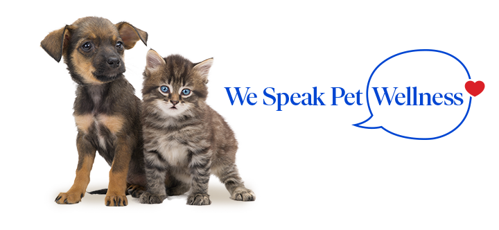 A small brown and tan dog is standing next to a grey striped tabby kitten. To the right, there is a speech bubble with the text "We Speak Pet Wellness" and a red heart.