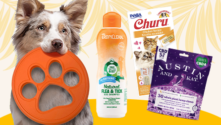 dog with prange frisbee and CBD treats, flea shampoo, and churu cat treats