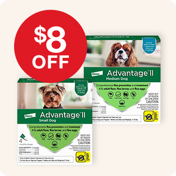 Advantage II Flea Treatment 4 pack for small & medium dog
