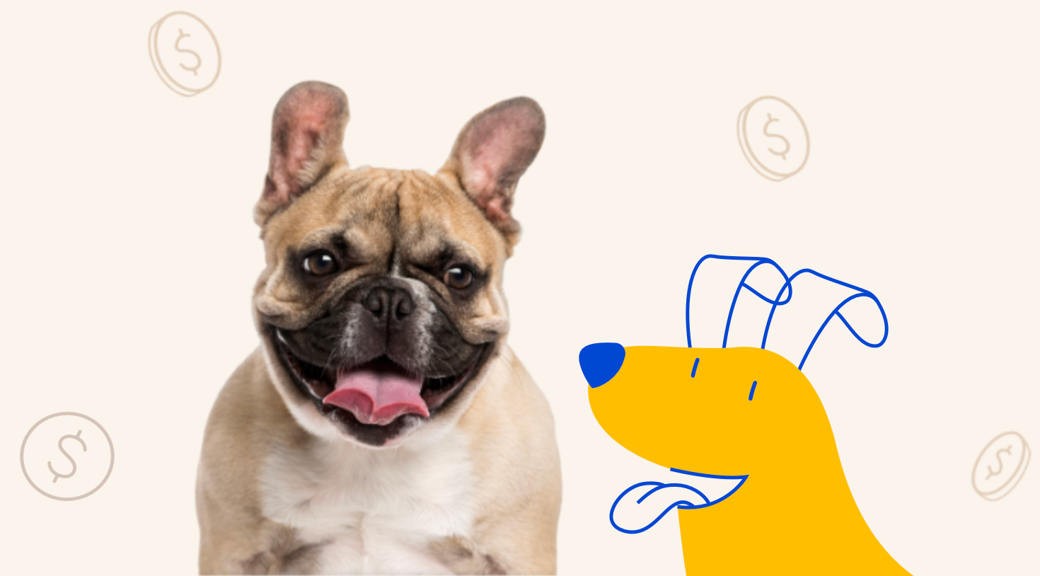 Dog Deals Pet Supermarket