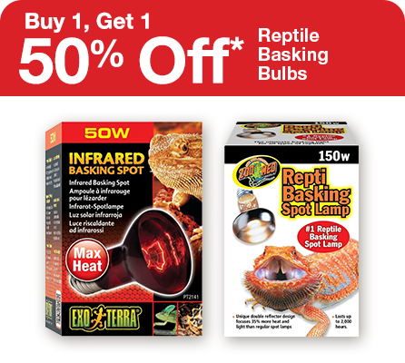 Buy 1, Get 1 50% Off Reptile Basking Bulbs 