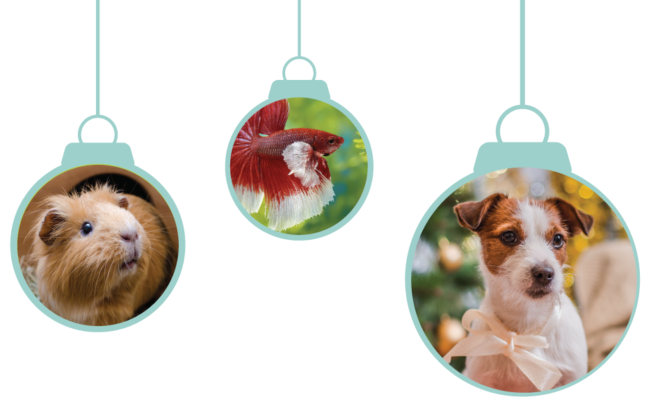 Holiday Shop Pet Supermarket