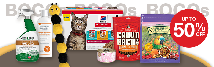 "BOGOs up to 50% off" dog treat bags, chews, and toys