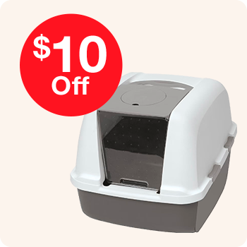 Promotional graphic for BoxiePro: Buy 1, get 1 at 50% off.