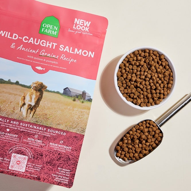 Ancient Grains salmon dog food bag with bowl and scoop and kibble