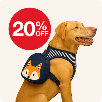 20% Off All Fall Apparel and Accessories