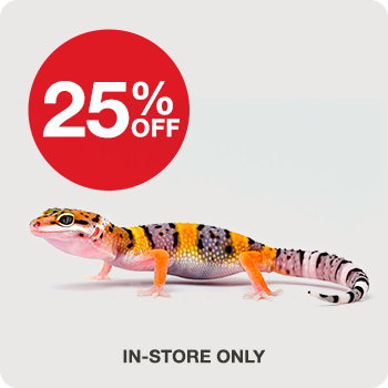 In-Store Only 25% Off Leopard Geckos 