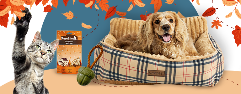 A brown dog laying in a fall pattern dog bed and a cat inside a fall themed background